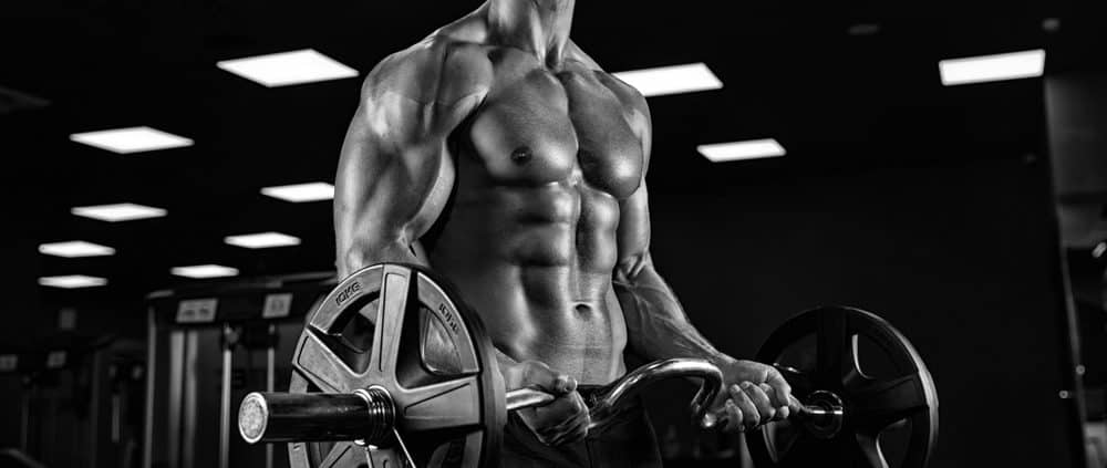 Muscle-and-Body-Building-Training